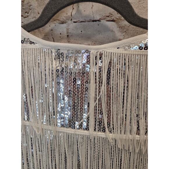 Pretty Guide Sequins Silver Dress With Fringes Short Sleeve Size 12 - Picture 4 of 4